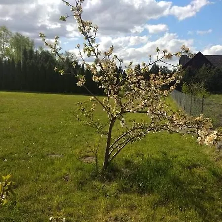 Orla Na Mazurach * Passenheim